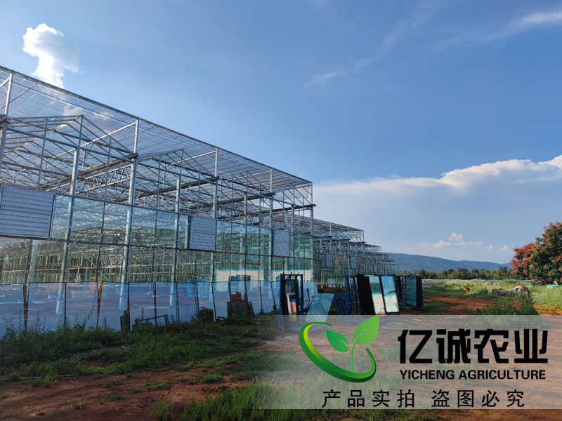 連棟玻璃溫室工程江西南昌現(xiàn)場